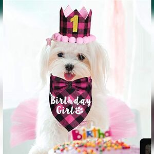 Dog Birthday Party Supplies, Plaid Dog Birthday Bandana Girl Pink